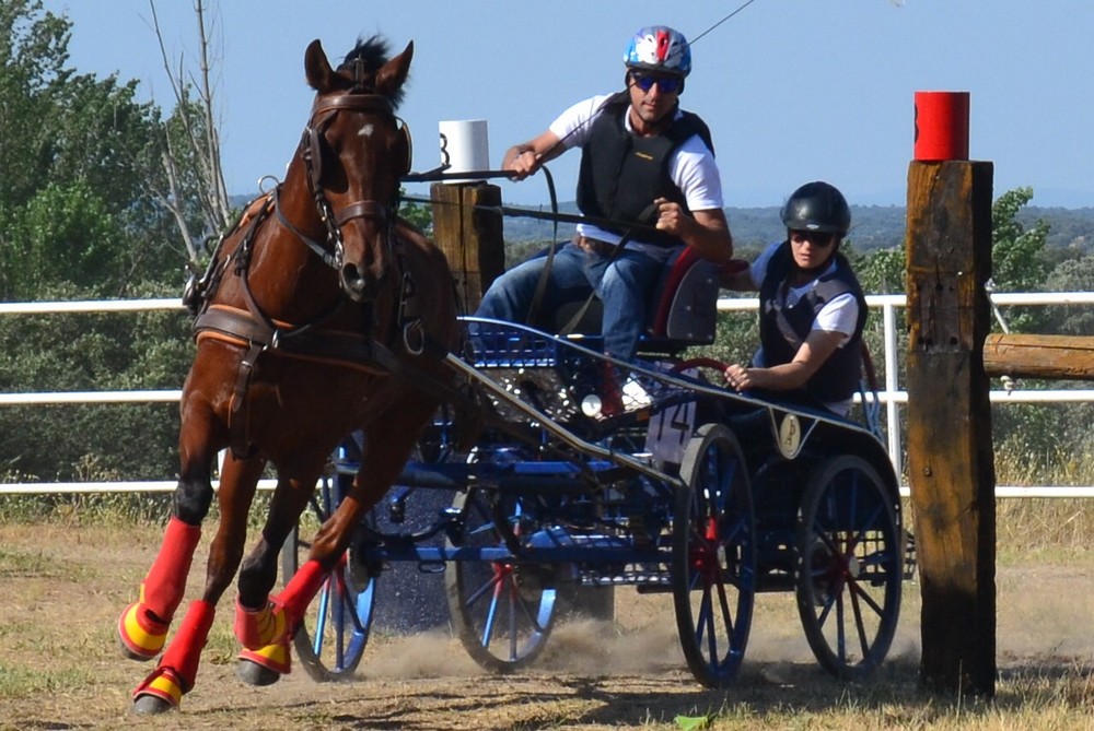 Triple podio Navarro en el Campeonato de Espa&ntilde;a de Enganches